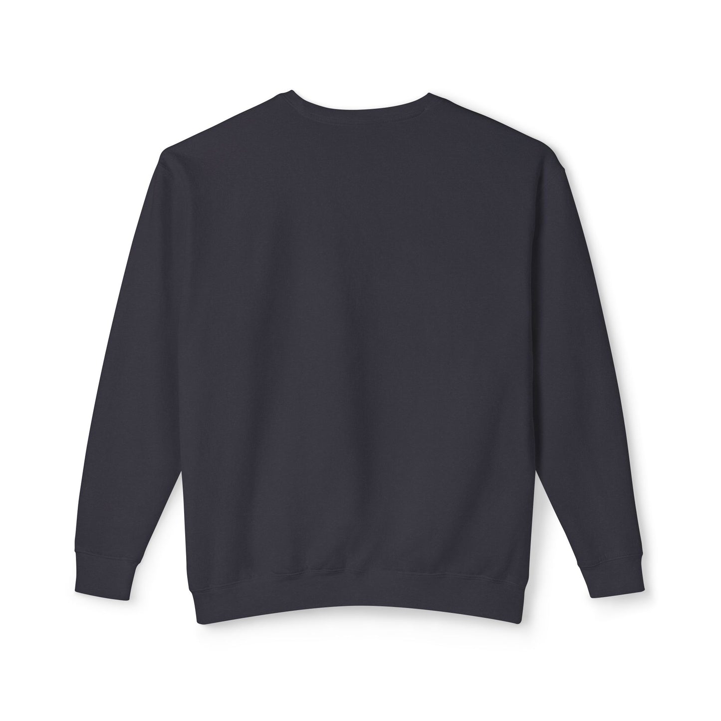 B&B 2024 Unisex Lightweight Crewneck Sweatshirt